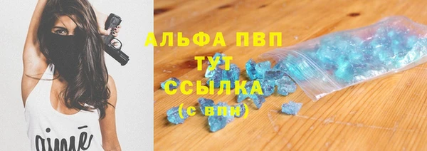 индика Балахна