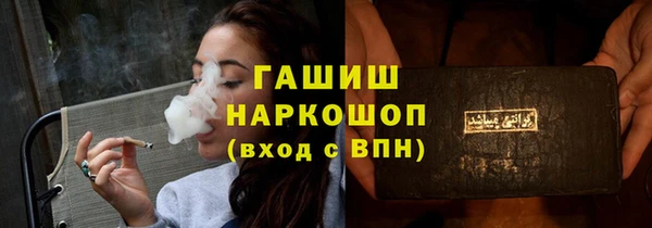 индика Балахна