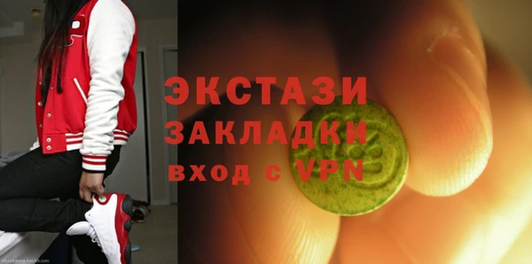 индика Балахна