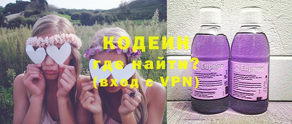 индика Балахна