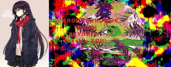 spice Балабаново