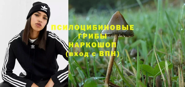 spice Балабаново