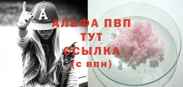 индика Балахна