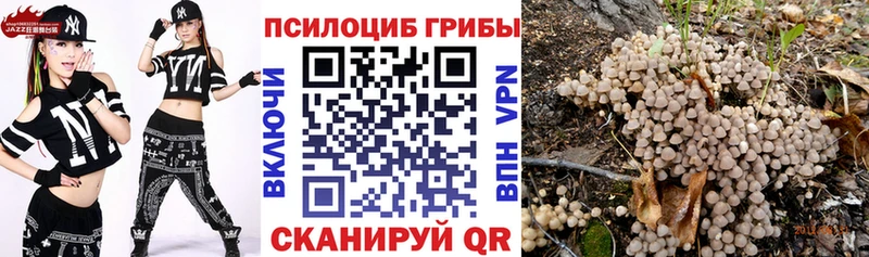 продажа наркотиков  Озёры  Галлюциногенные грибы мицелий 